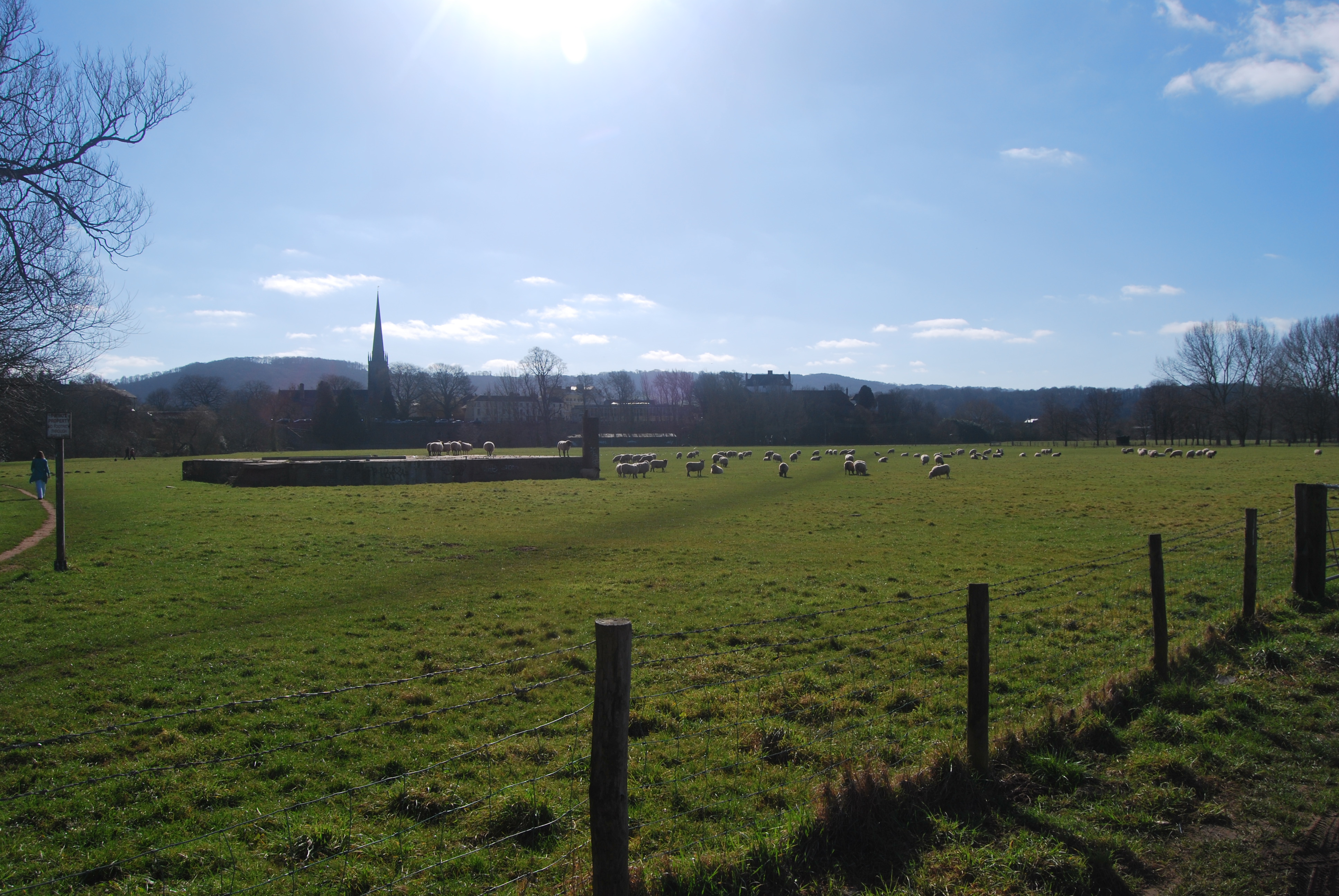 Vauxhall fields