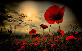 Monmouth Remembers