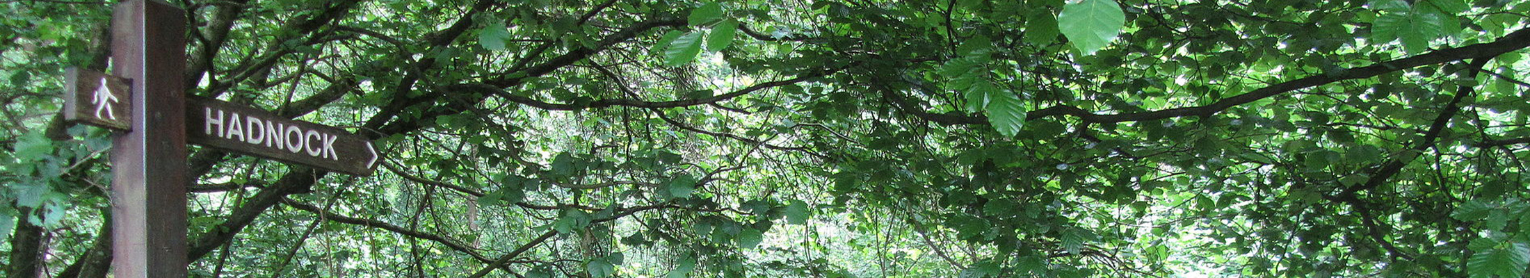 Trees and sign for Hadnock