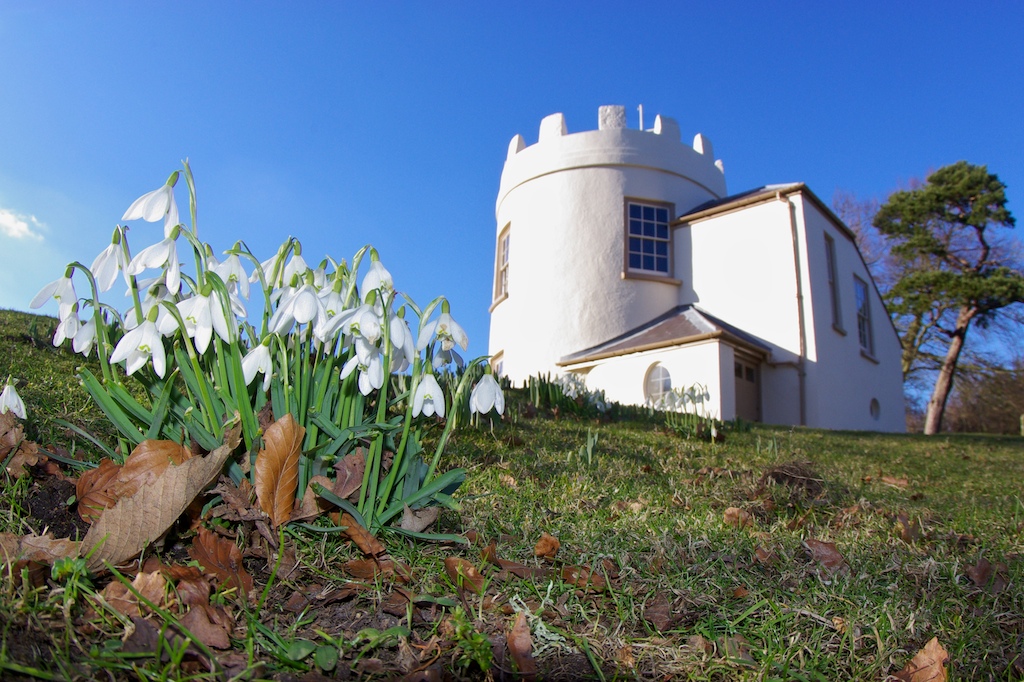 white castle with white flowers