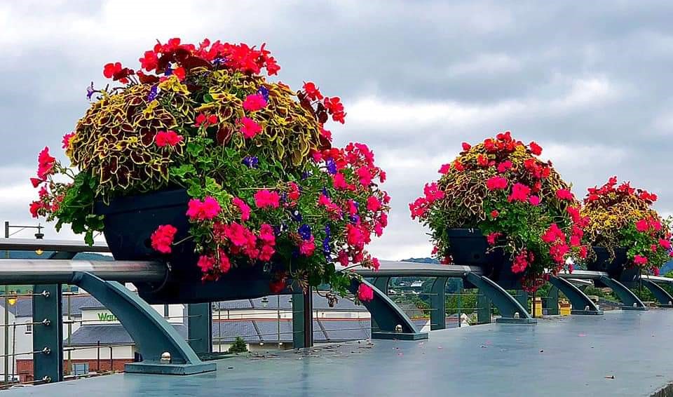 Flowers on New Monnow Bridge Photo Credit: Shirley Lawton